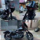 Club style Harley Davidson 883 1200 48 dyna