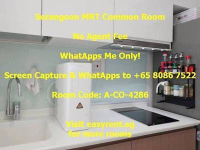 Room for Rent - Serangoon