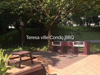 Teresa Ville